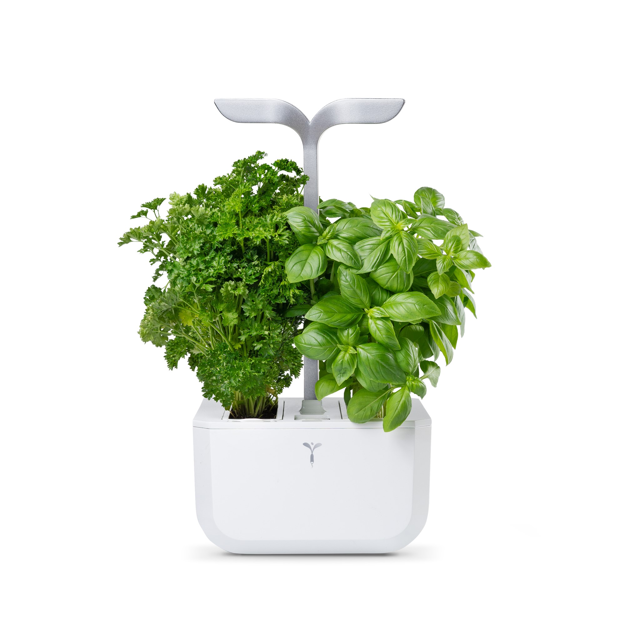Exky SMART AW(2)-KitLingot